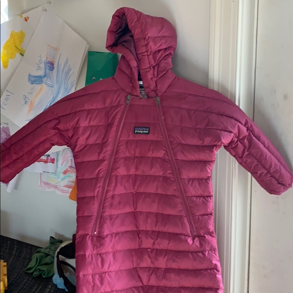 Puffer Patagonia bunting